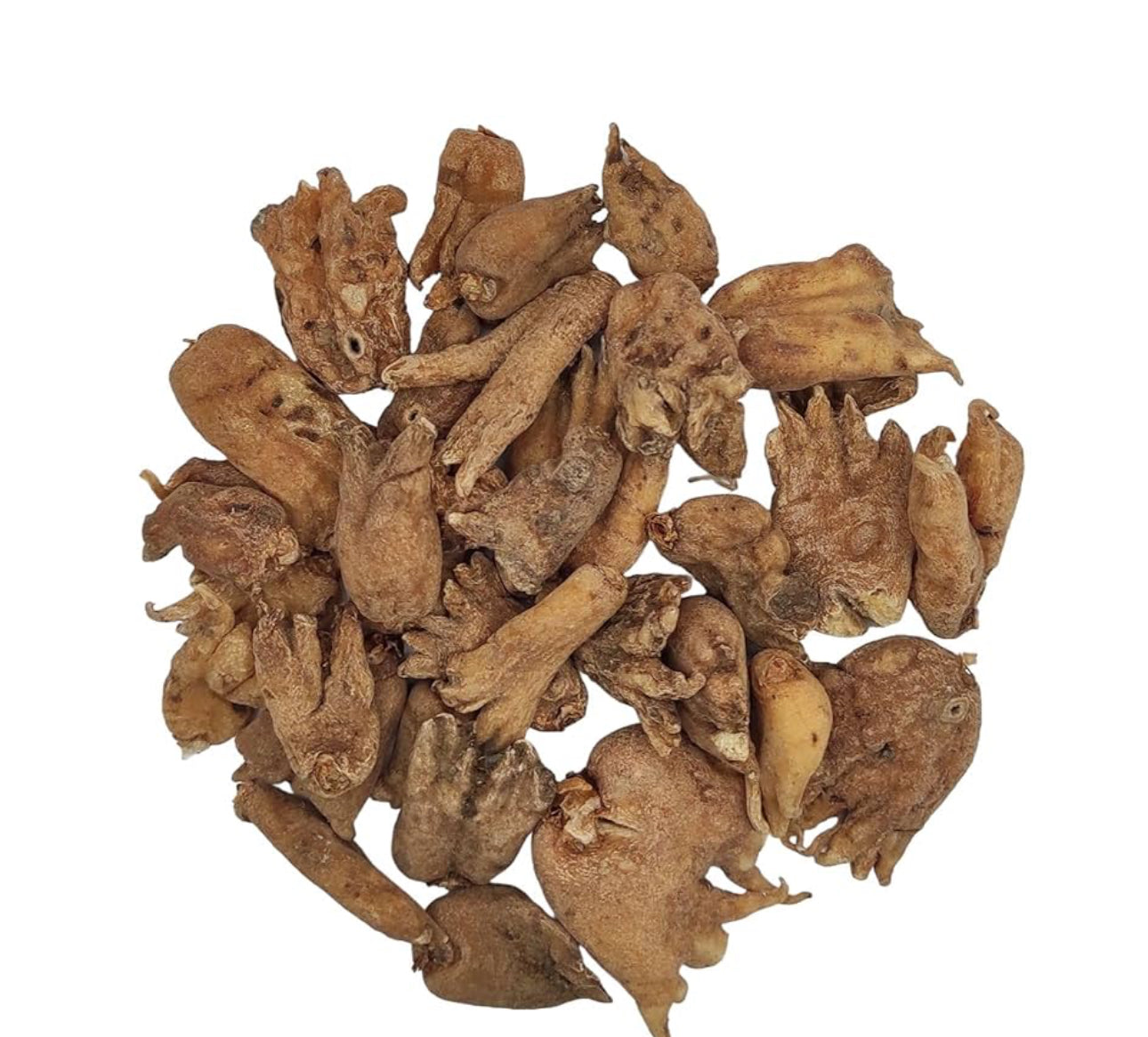 Orchis Mascula Roots